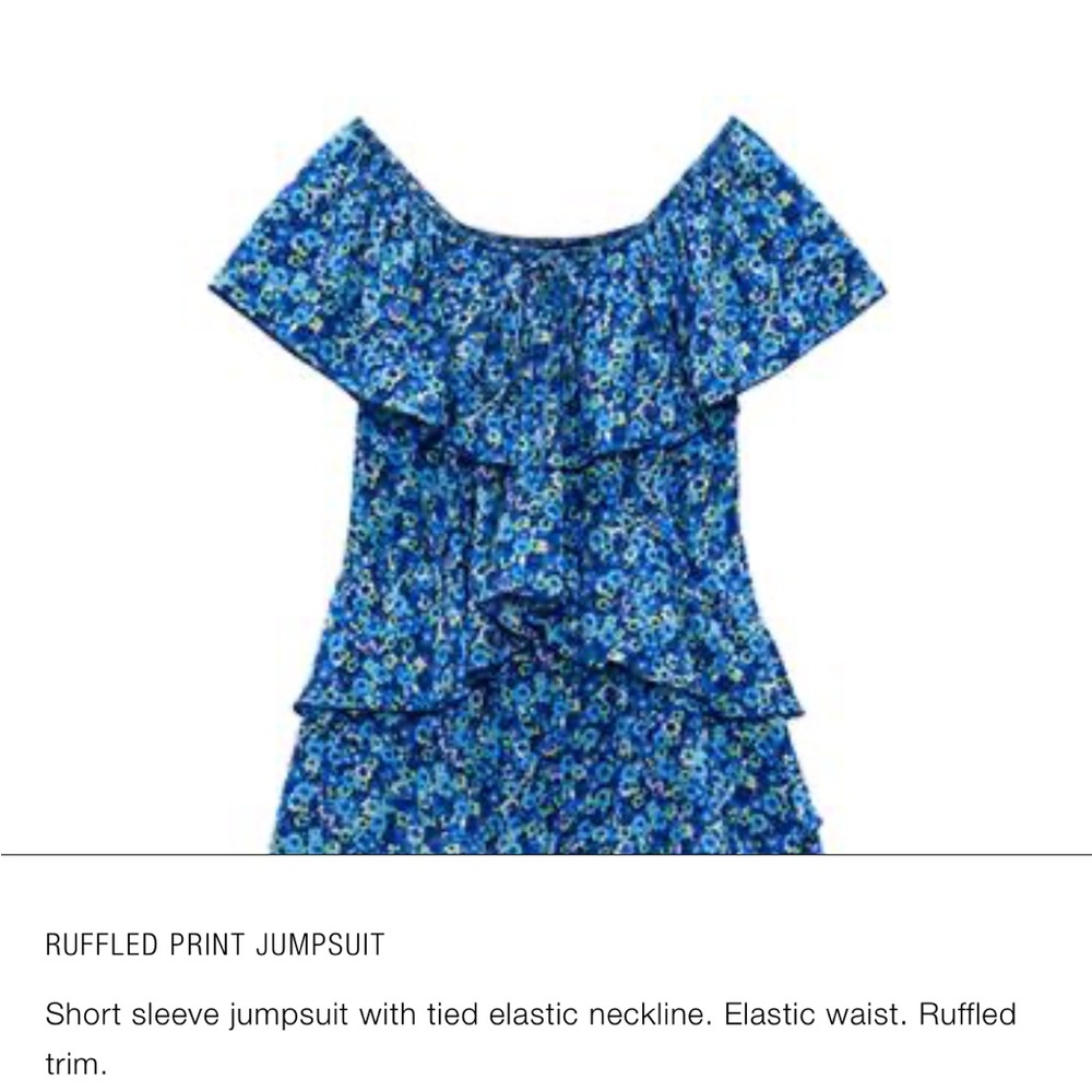 Zara Blue Floral Ruffle Dress - Picture 2 of 4